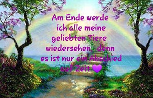 Regenbogenbruecke